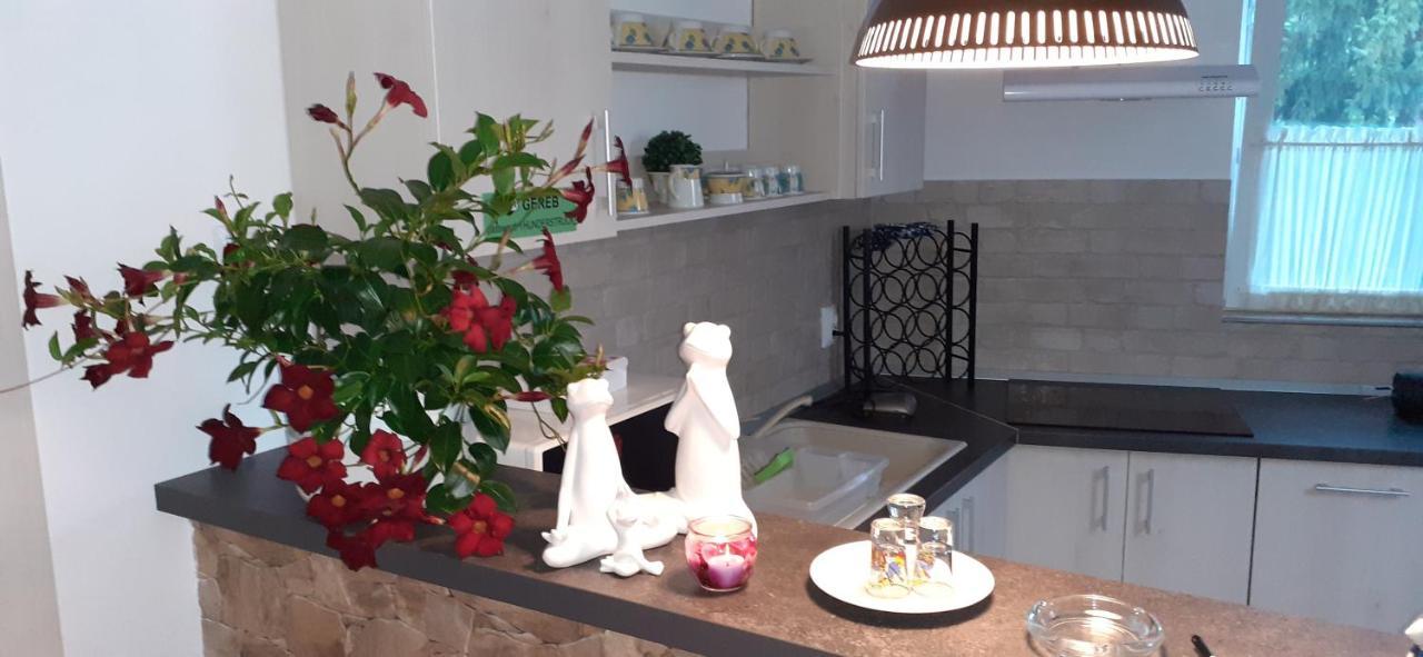 Raza Soarelui Apartament De Lux Sovata Dış mekan fotoğraf