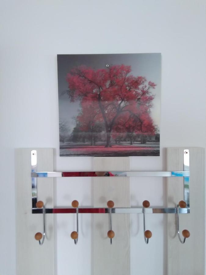 Raza Soarelui Apartament De Lux Sovata Dış mekan fotoğraf
