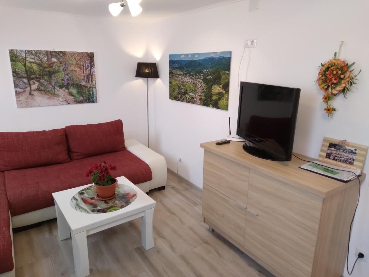 Raza Soarelui Apartament De Lux Sovata Dış mekan fotoğraf